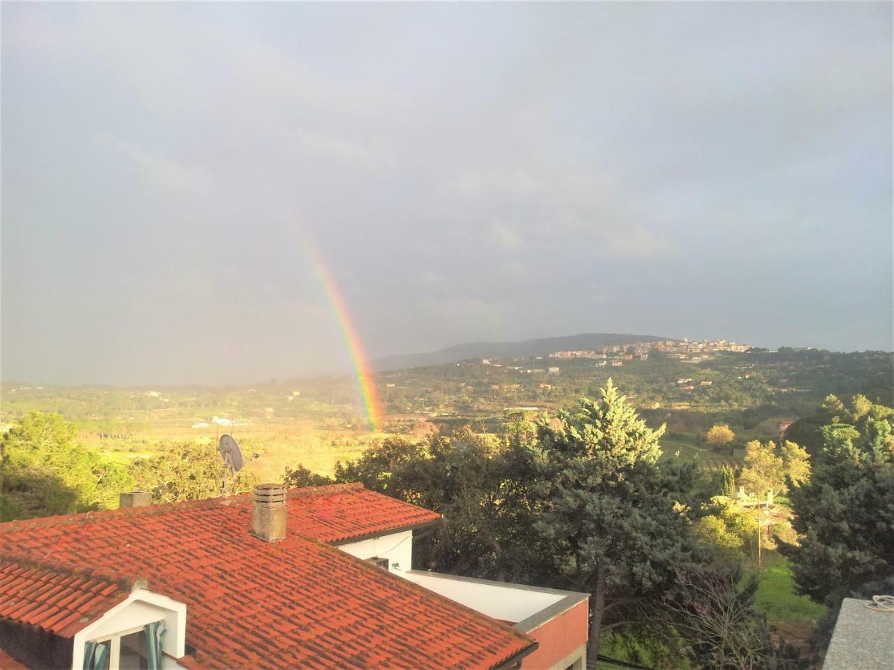 Appartamenti Gli Alberi Capoliveri  Exteriér fotografie